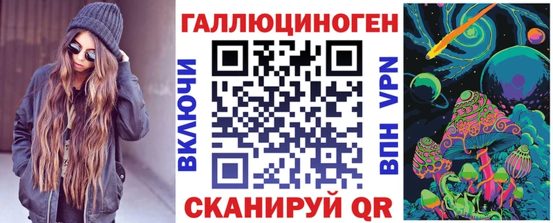 МЕГА   Черняховск  Галлюциногенные грибы Cubensis 