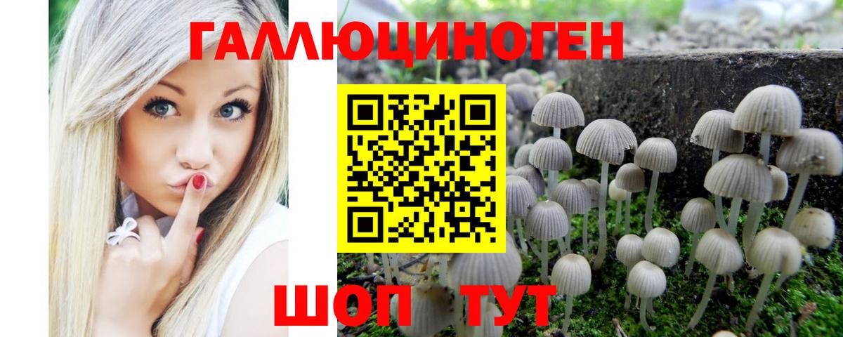 Псилоцибиновые грибы Magic Shrooms Черняховск