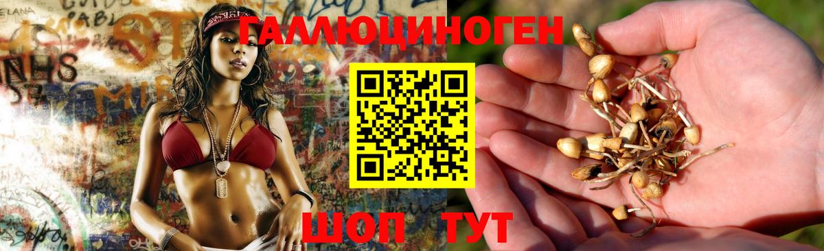 Черняховск  Псилоцибиновые грибы ЛСД  цена наркотик  Вход с VPN  Псилоцибиновые грибы мицелий 